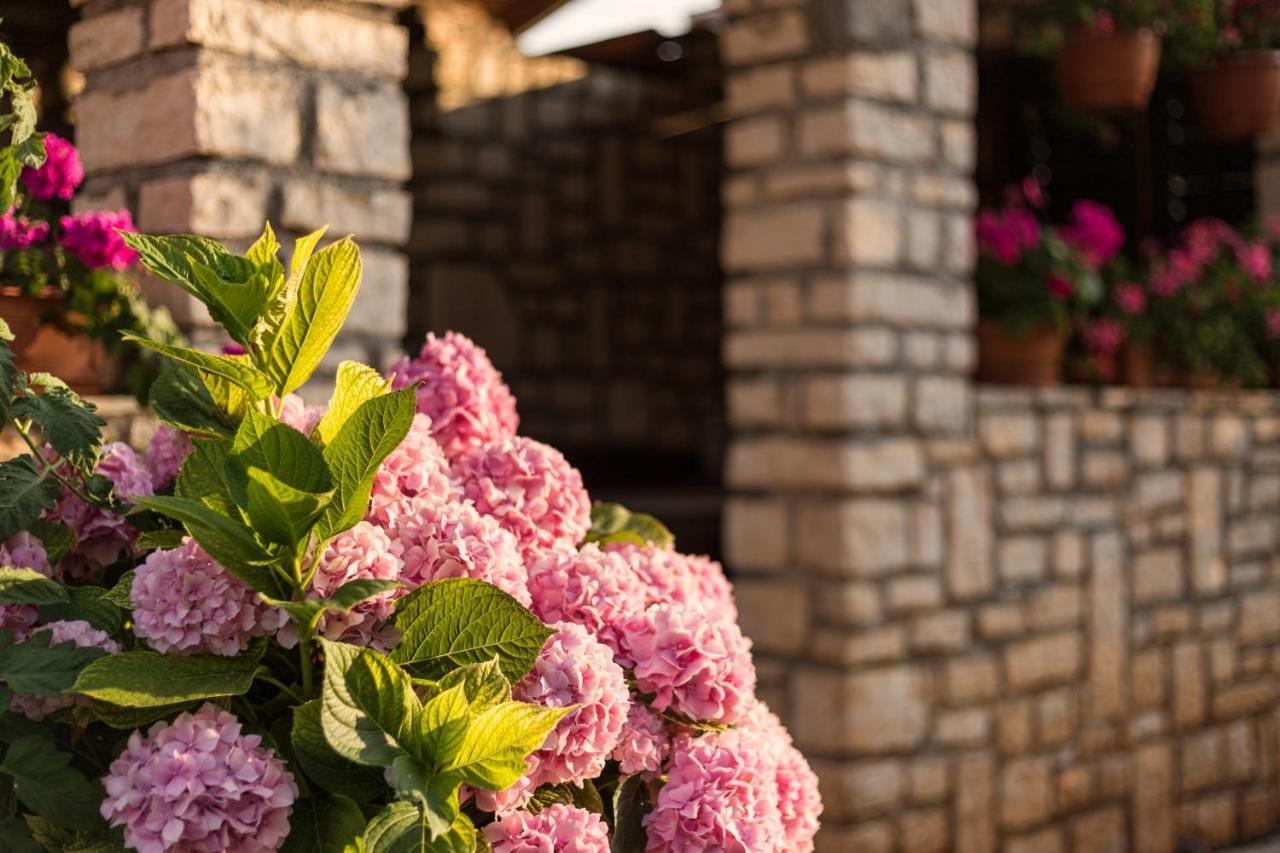 Apartments Contessa Novigrad Istria Exterior foto